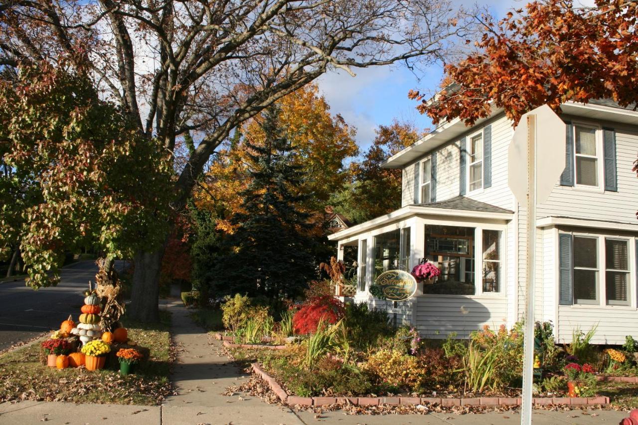Serendipity Saugatuck